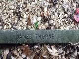 image of grave number 398919